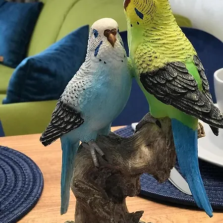 аpartment Bella Vista شقة ابزور