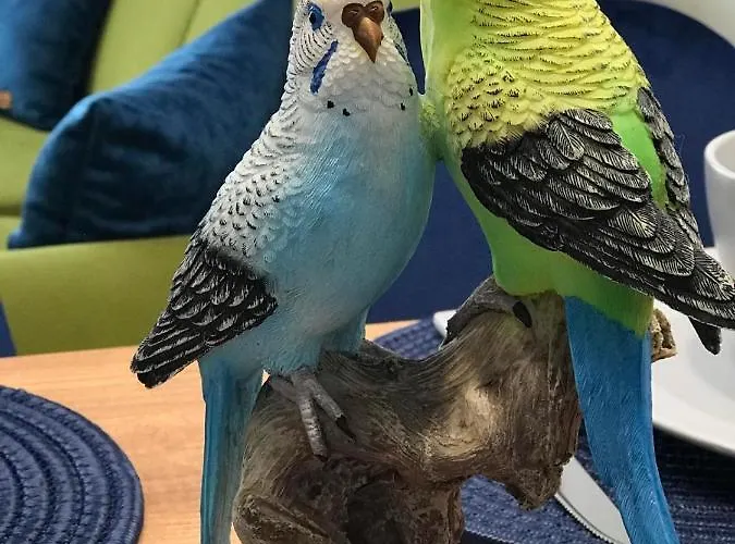 аpartment Bella Vista Apartmán Obzor